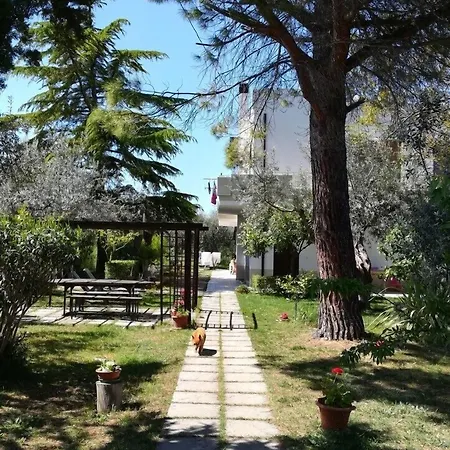 Bed & Breakfast Beb Dal Barbarossa