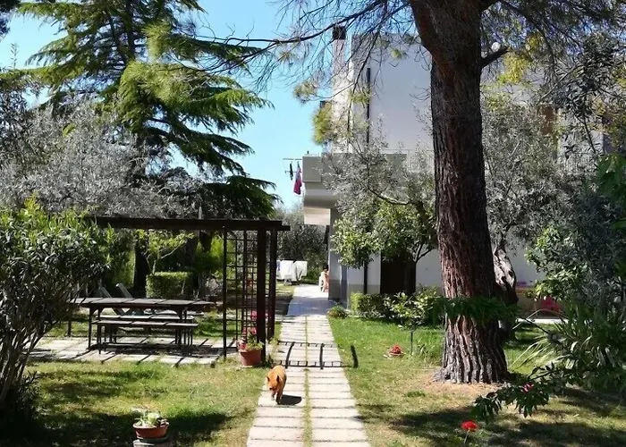 Bed & Breakfast Beb Dal Barbarossa